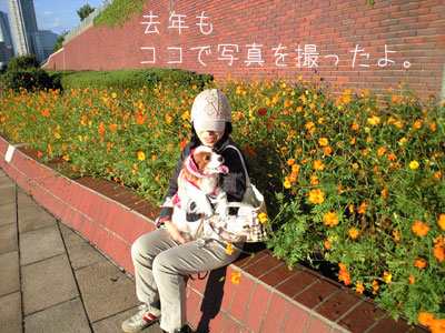 a0120944_1405086.jpg