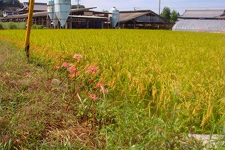 b0200747_2037033.jpg