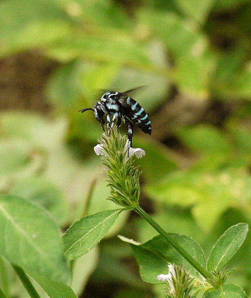d0091754_2221879.jpg