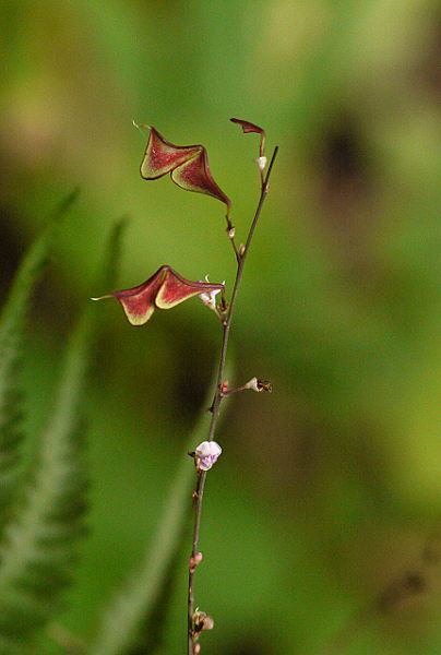 d0091754_2381288.jpg