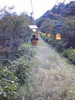 f0065954_206798.jpg