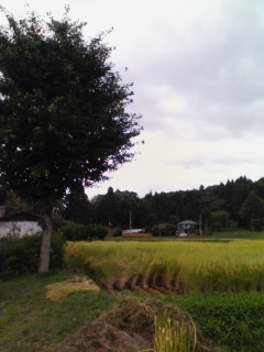 f0091057_33980.jpg