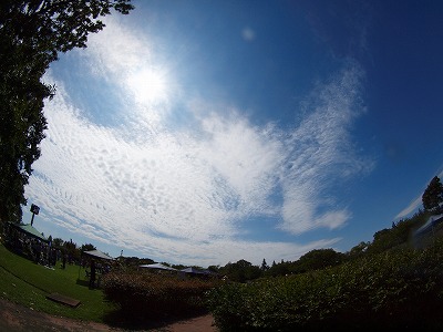 b0180764_22412562.jpg