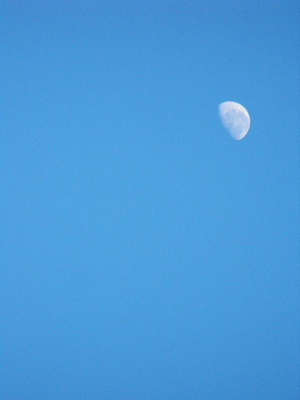 d0102664_0102192.jpg