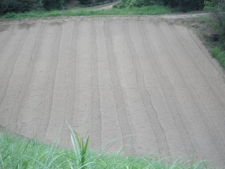 f0055264_20252643.jpg