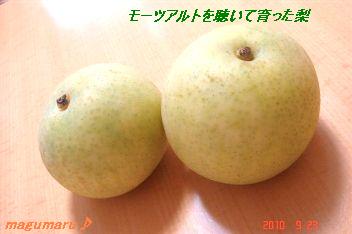 a0166465_1210751.jpg