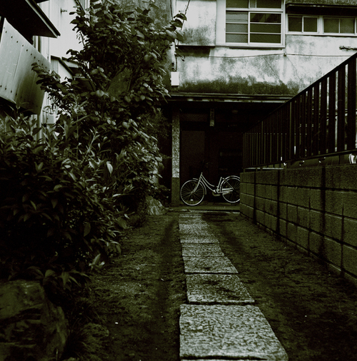 d0114066_0145571.jpg