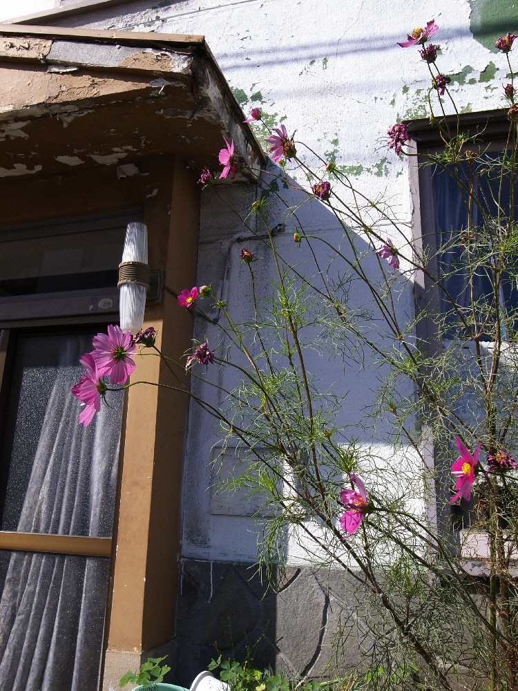 b0103470_6292363.jpg