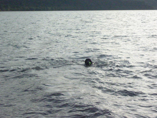 e0165577_12322068.jpg