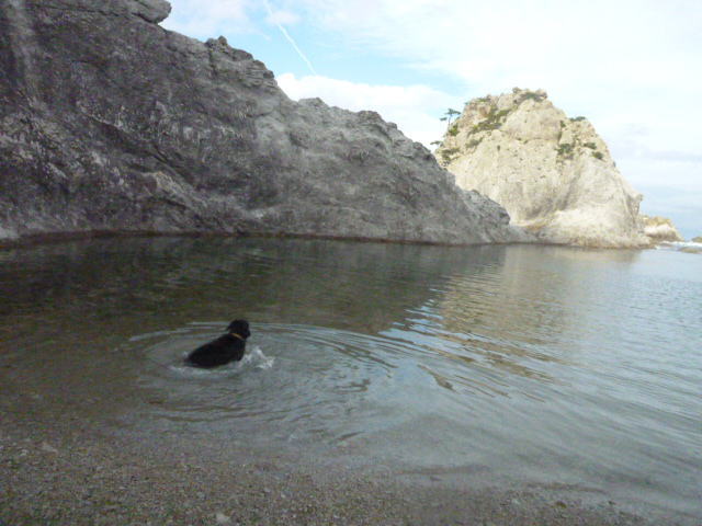 e0165577_1235514.jpg