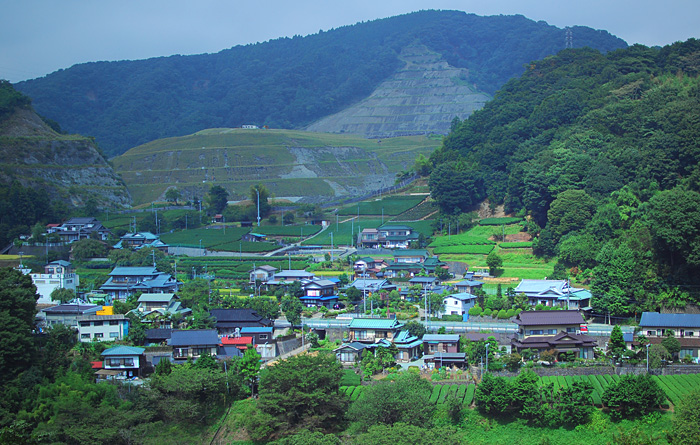 c0009981_583144.jpg