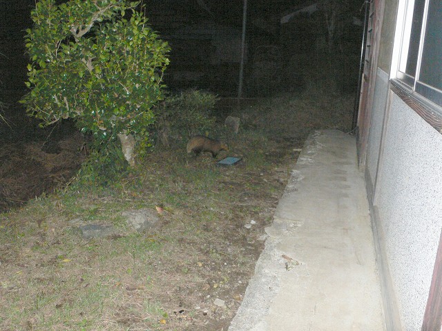 b0042882_11181136.jpg