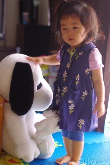 c0182782_203228.jpg
