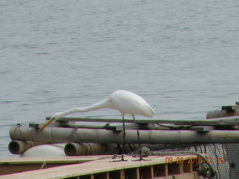 e0197884_18501894.jpg