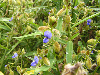 e0066586_15445267.jpg