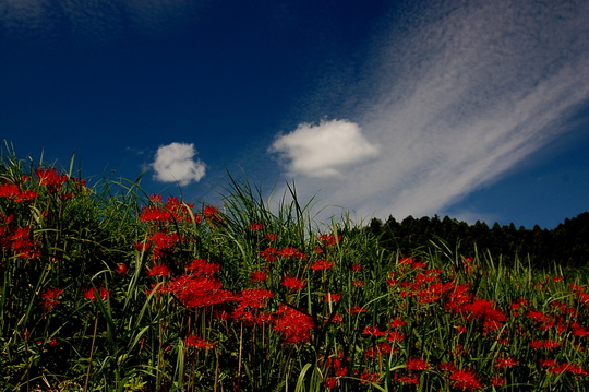b0203588_16452110.jpg