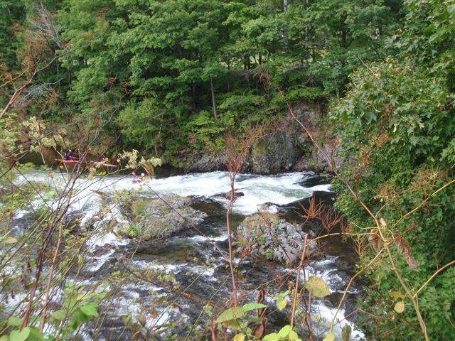 d0165689_11285457.jpg