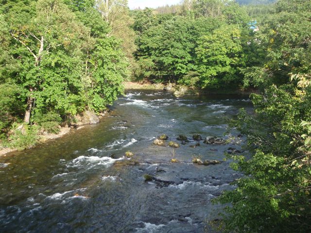 d0165689_11292889.jpg