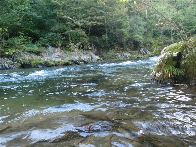 d0165689_11325016.jpg