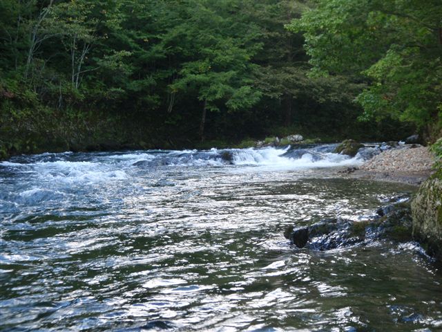 d0165689_1133647.jpg