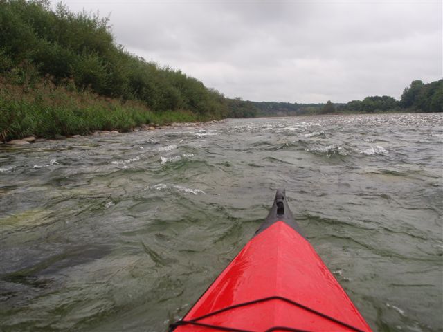 d0165689_12251719.jpg