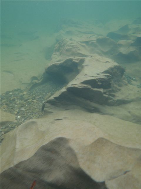 d0165689_1241843.jpg