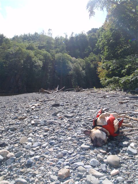 d0165689_1440258.jpg