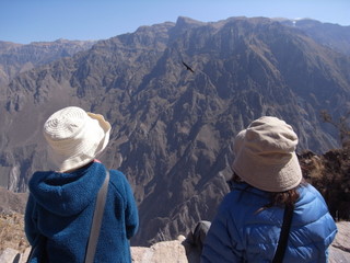 a0137192_15463562.jpg