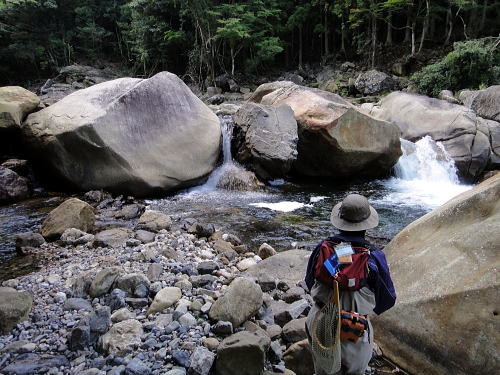 f0141392_10322859.jpg
