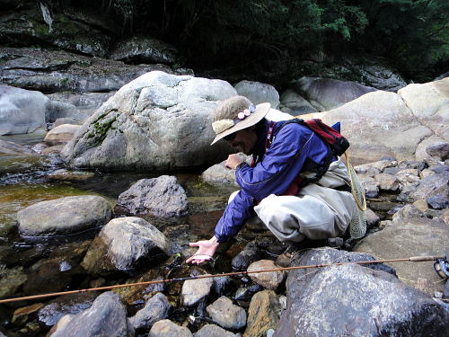 f0141392_10352127.jpg