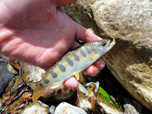 f0141392_1039352.jpg
