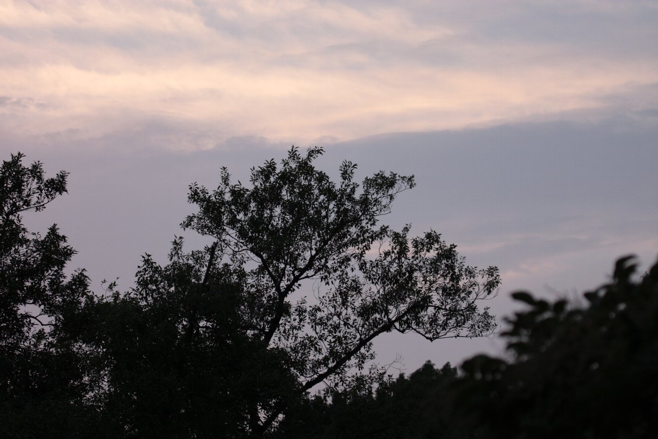 e0167295_18391825.jpg
