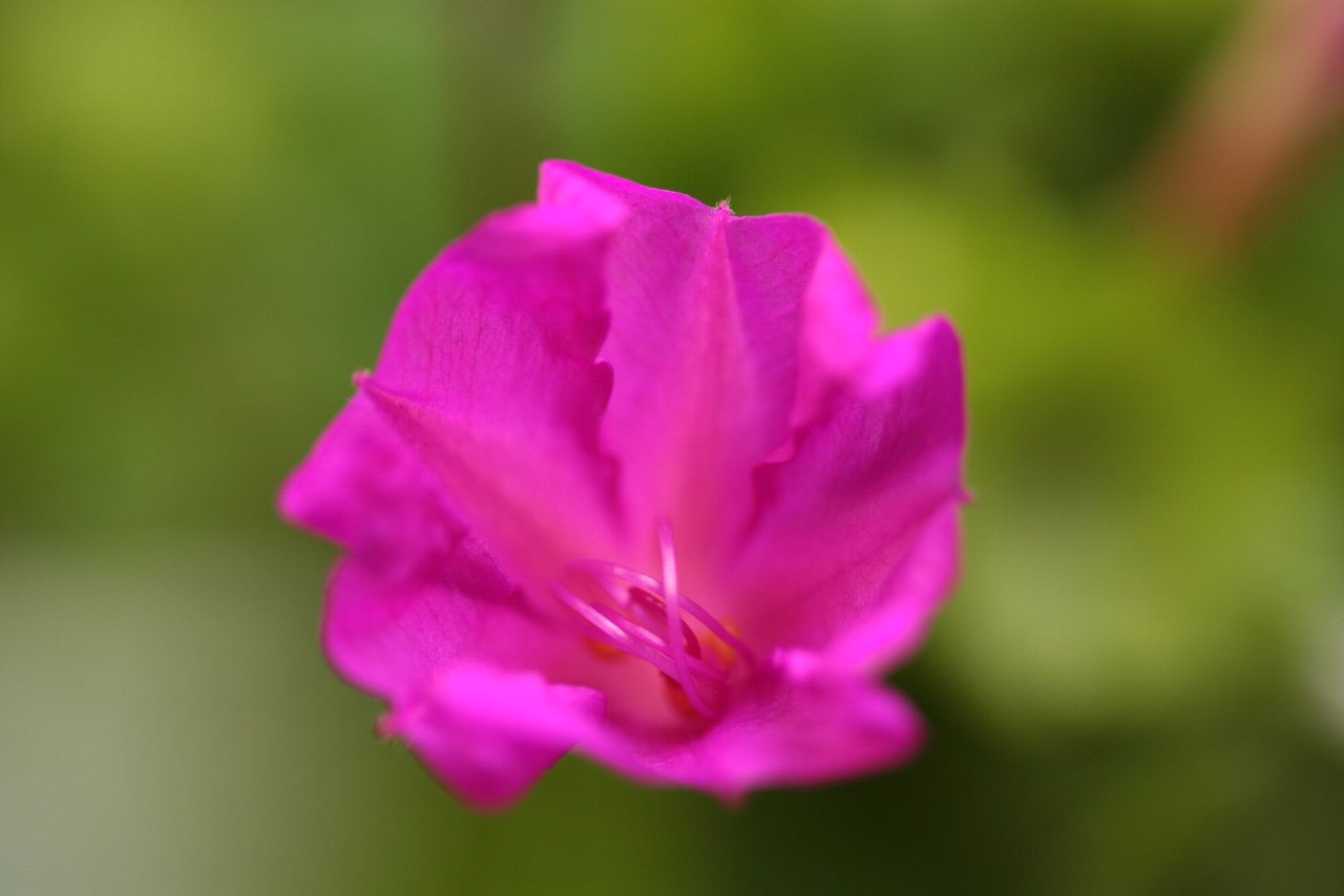 e0167295_21224082.jpg