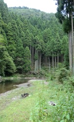 f0226695_22442570.jpg