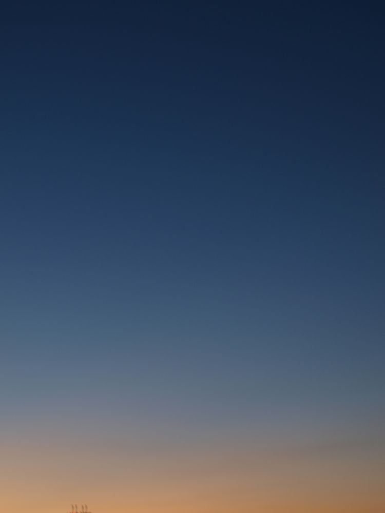 c0169199_2412523.jpg