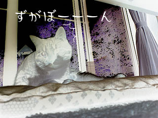c0035001_17481967.jpg