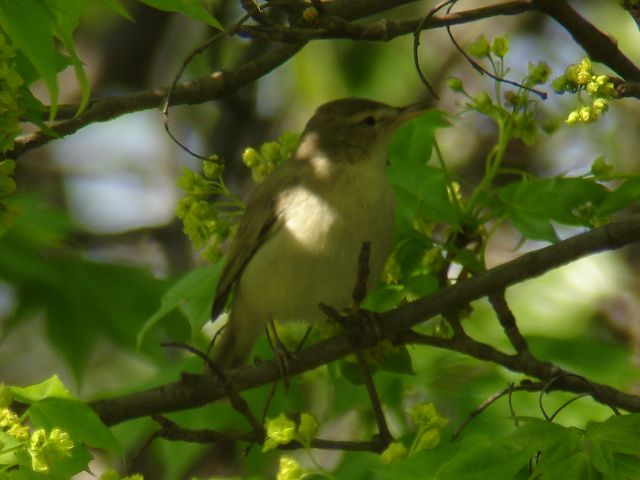 c0079001_1930239.jpg