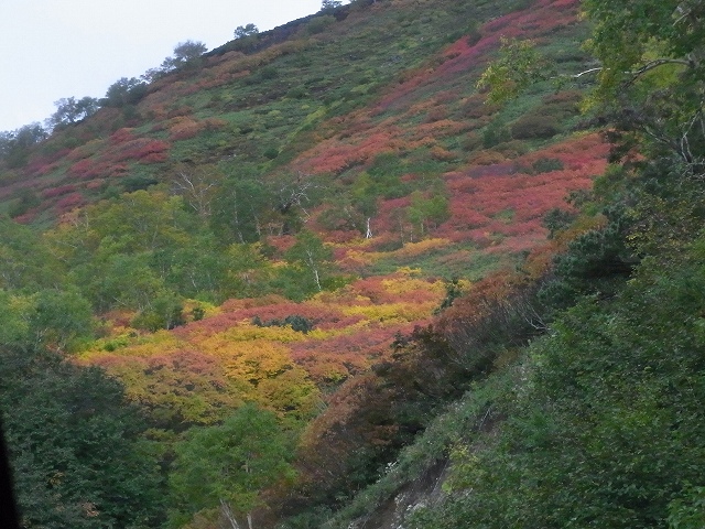 f0157901_18161041.jpg