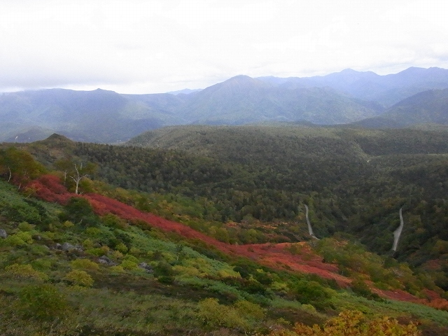 f0157901_18173188.jpg