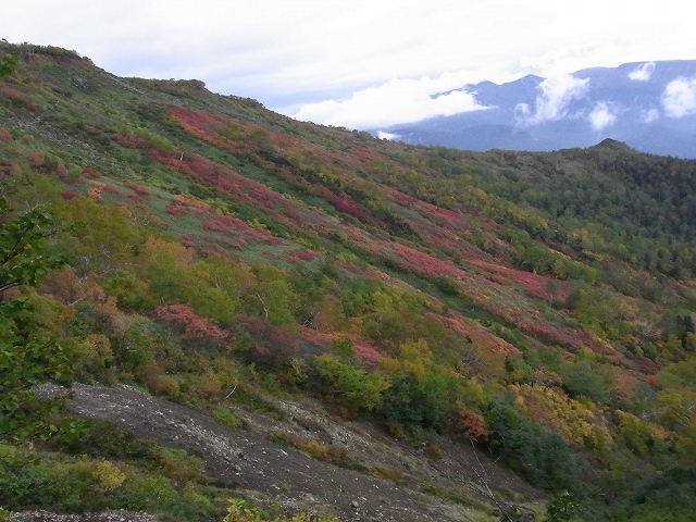 f0157901_1818734.jpg