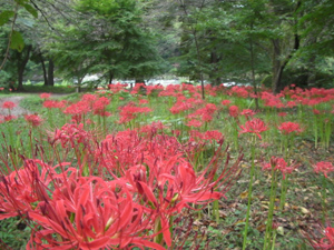 c0121102_15175123.jpg