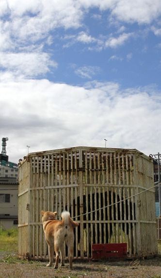 c0155902_212182.jpg
