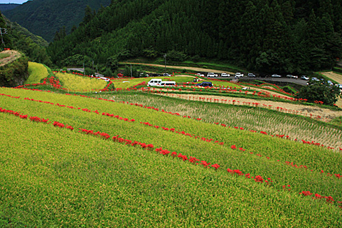 b0014607_16401786.jpg