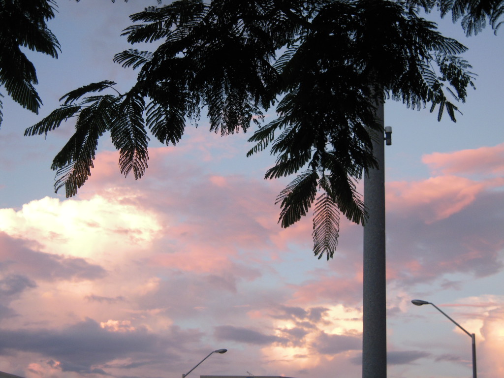 c0132608_182929.jpg