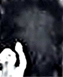 e0103408_11223436.gif