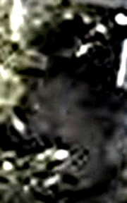 e0103408_11313535.gif