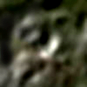 e0103408_11314647.gif
