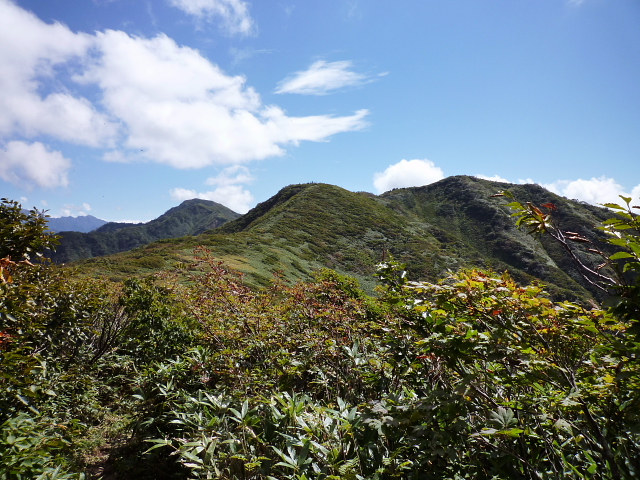 d0170615_9265114.jpg