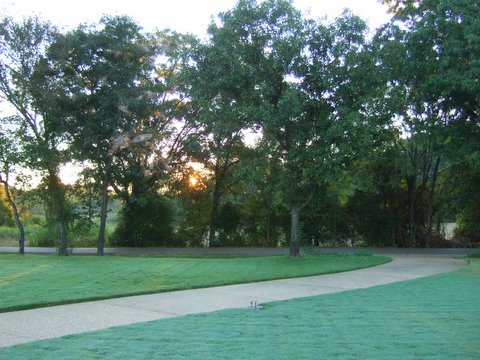 c0151122_10412430.jpg