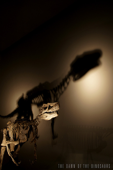 d0102524_20494886.jpg